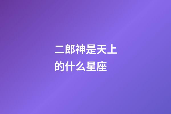 二郎神是天上的什么星座-第1張-星座運勢-玄機派