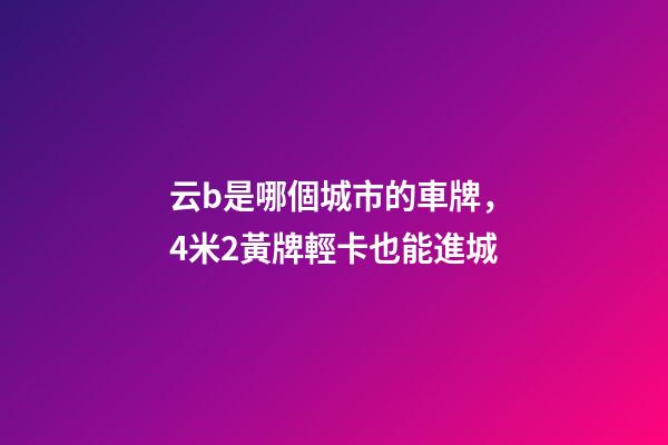云b是哪個城市的車牌，4米2黃牌輕卡也能進城-第1張-觀點-玄機派
