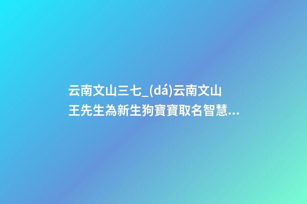 云南文山三七_(dá)云南文山王先生為新生狗寶寶取名智慧型套餐-第1張-公司起名-玄機(jī)派
