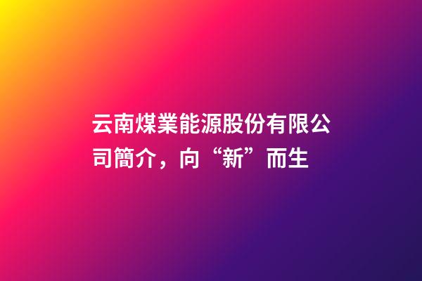 云南煤業能源股份有限公司簡介，向“新”而生-第1張-觀點-玄機派