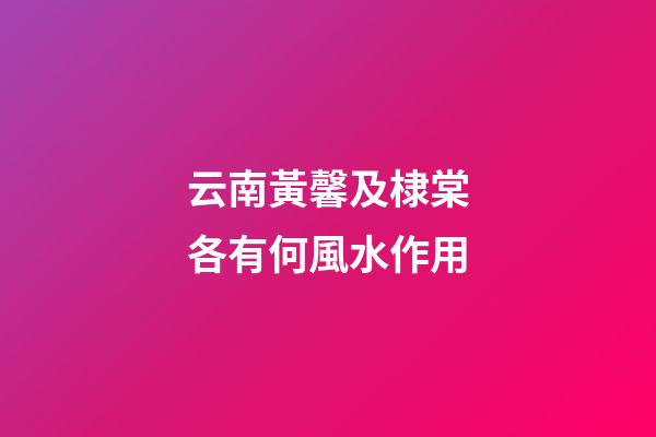 云南黃馨及棣棠各有何風水作用?