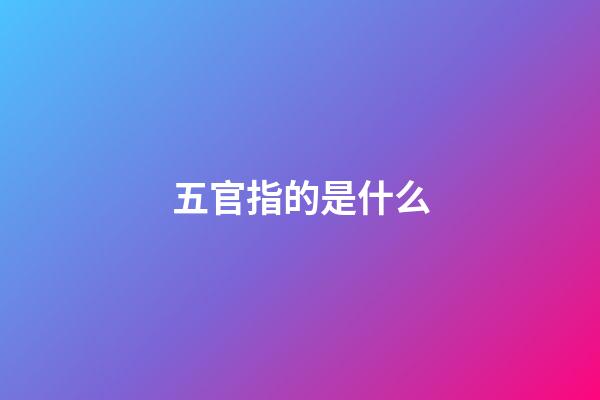 五官指的是什么