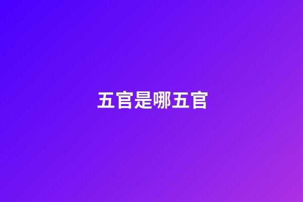 五官是哪五官