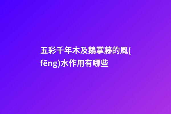 五彩千年木及鵝掌藤的風(fēng)水作用有哪些?