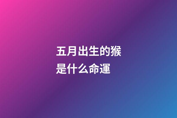 五月出生的猴是什么命運(出生在這些年月的人，天生龍鳳命，40歲前必發家致富)-第1張-觀點-玄機派