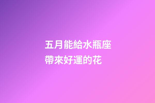五月能給水瓶座帶來好運的花-第1張-星座運勢-玄機派