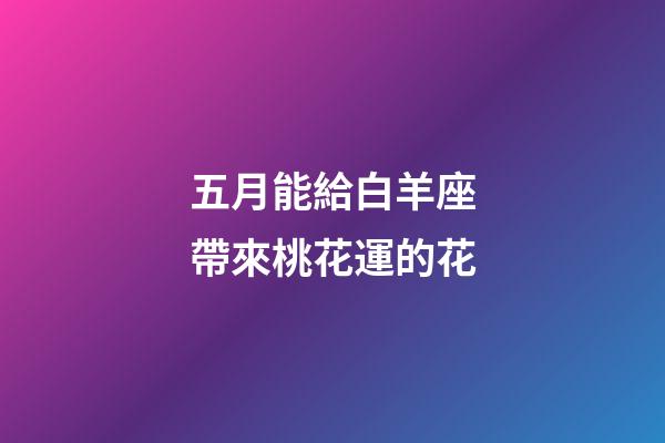 五月能給白羊座帶來桃花運的花-第1張-星座運勢-玄機派