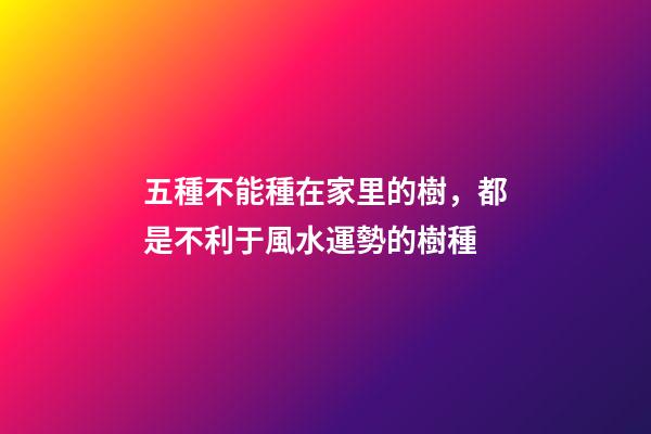 五種不能種在家里的樹，都是不利于風水運勢的樹種