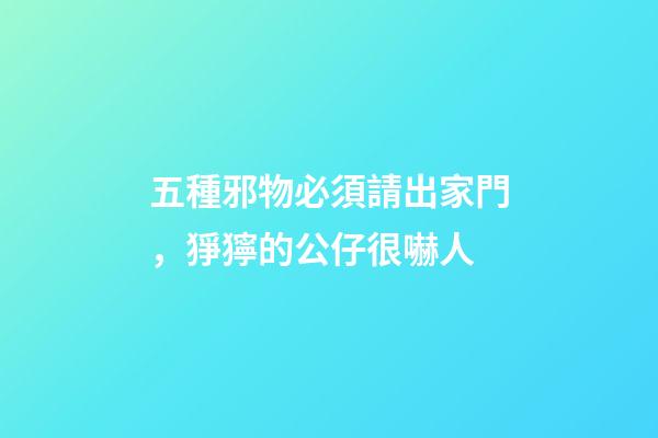 五種邪物必須請出家門，猙獰的公仔很嚇人