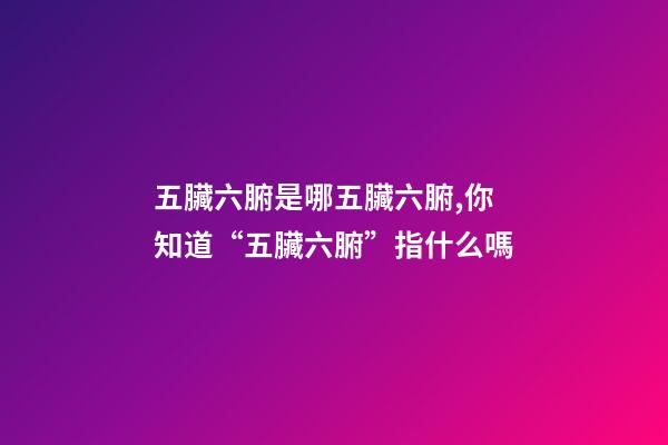 五臟六腑是哪五臟六腑,你知道“五臟六腑”指什么嗎-第1張-觀點-玄機派