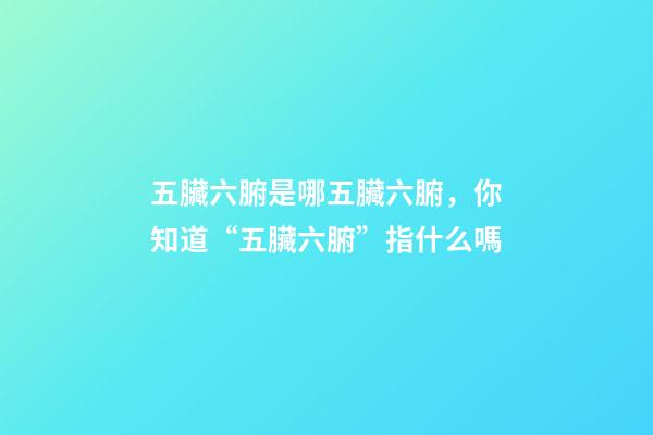 五臟六腑是哪五臟六腑，你知道“五臟六腑”指什么嗎-第1張-觀點-玄機派