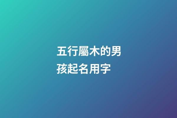 五行屬木的男孩起名用字(五行屬木的男孩起名用字大全)-第1張-男孩起名-玄機派
