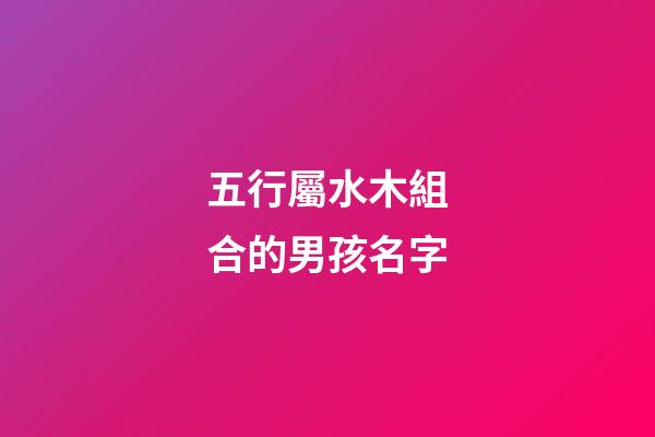 五行屬水木組合的男孩名字(五行屬水屬木的字男孩用名組合)-第1張-男孩起名-玄機派