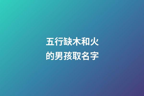 五行缺木和火的男孩取名字(五行缺木和火的男孩取名字大全)-第1張-男孩起名-玄機派