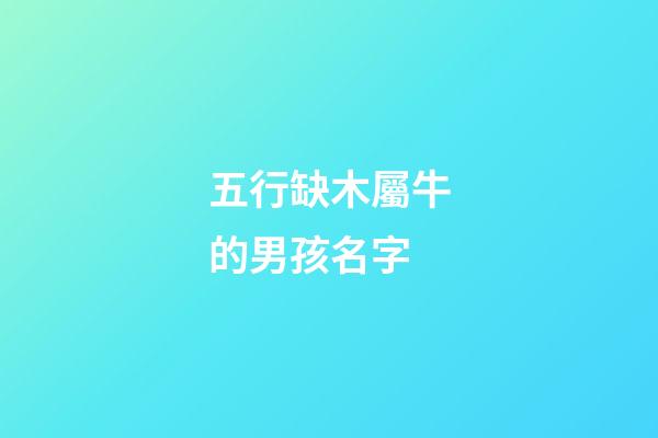 五行缺木屬牛的男孩名字(五行缺木牛寶寶男孩名字)-第1張-男孩起名-玄機派