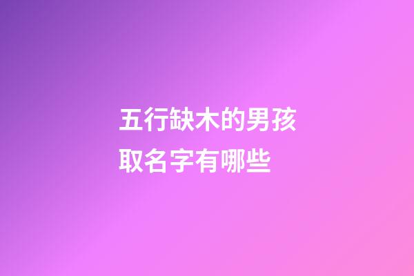 五行缺木的男孩取名字有哪些(五行缺木的男孩名字推薦)-第1張-男孩起名-玄機派