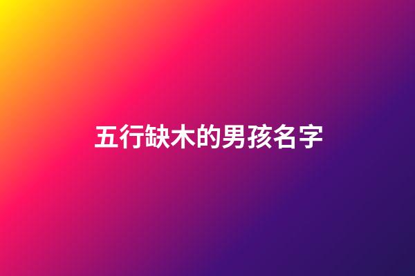 五行缺木的男孩名字