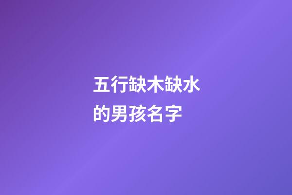 五行缺木缺水的男孩名字