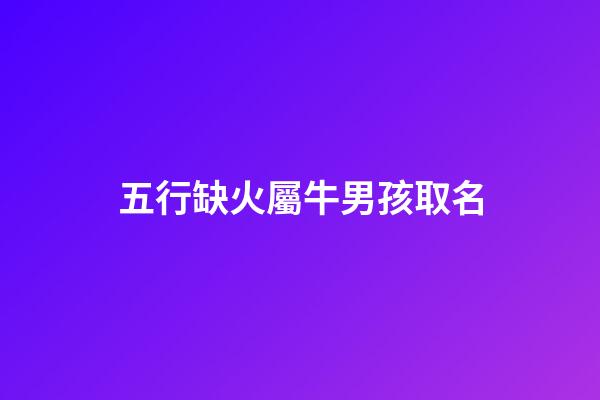 五行缺火屬牛男孩取名(五行缺火男孩名字屬牛好寓意)-第1張-男孩起名-玄機(jī)派