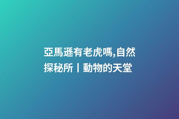 亞馬遜有老虎嗎,自然探秘所丨動物的天堂-第1張-觀點-玄機派