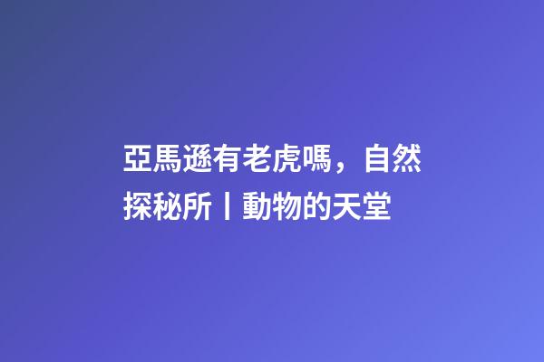 亞馬遜有老虎嗎，自然探秘所丨動物的天堂-第1張-觀點-玄機派