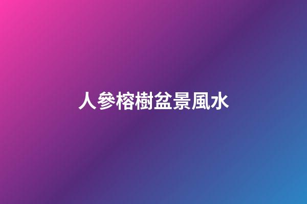 人參榕樹盆景風水