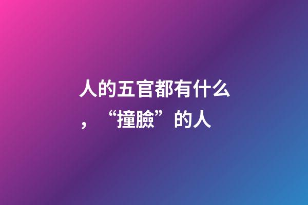 人的五官都有什么，“撞臉”的人-第1張-觀點-玄機派