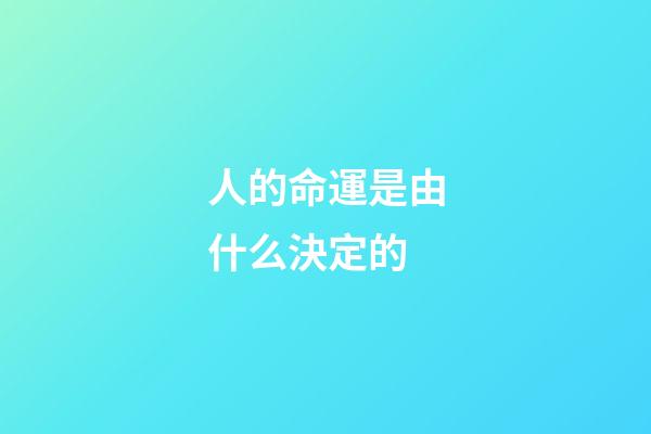 人的命運是由什么決定的