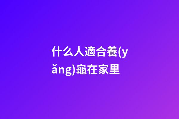 什么人適合養(yǎng)龜在家里