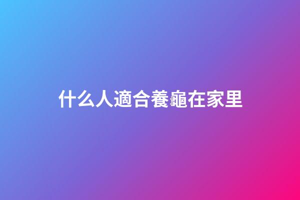 什么人適合養龜在家里