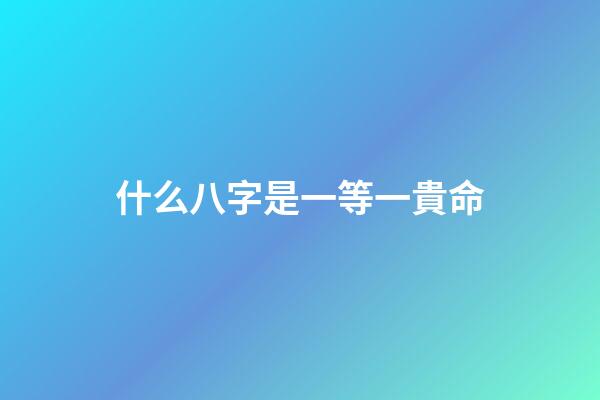 什么八字是一等一貴命