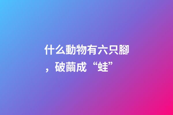 什么動物有六只腳，破繭成“蛙”
