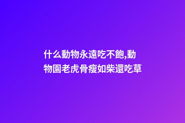 什么動物永遠吃不飽,動物園老虎骨瘦如柴還吃草-第1張-觀點-玄機派