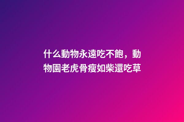 什么動物永遠吃不飽，動物園老虎骨瘦如柴還吃草-第1張-觀點-玄機派