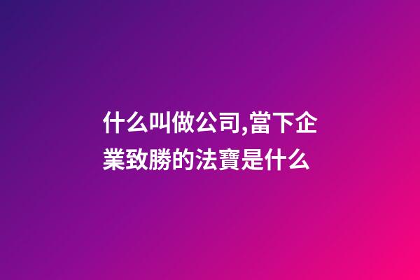 什么叫做公司,當下企業致勝的法寶是什么-第1張-觀點-玄機派