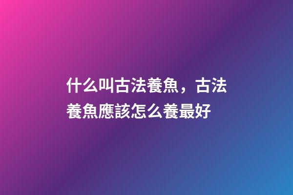 什么叫古法養魚，古法養魚應該怎么養最好