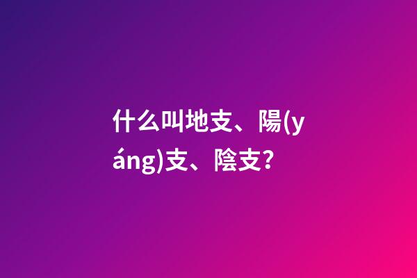 什么叫地支、陽(yáng)支、陰支？
