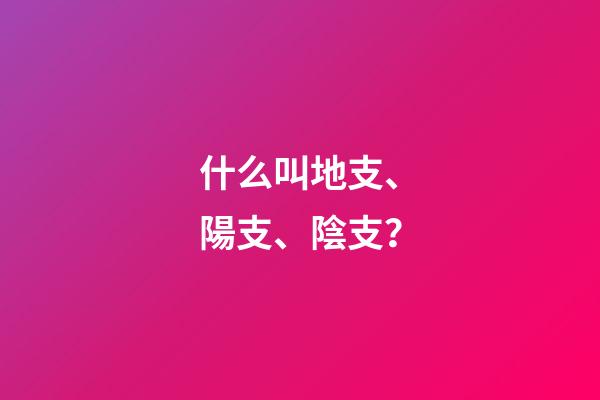 什么叫地支、陽支、陰支？