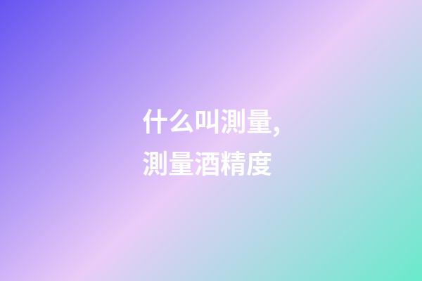 什么叫測量,測量酒精度-第1張-觀點-玄機派