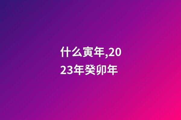 什么寅年,2023年癸卯年-第1張-觀點-玄機派