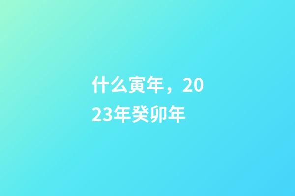 什么寅年，2023年癸卯年-第1張-觀點-玄機派