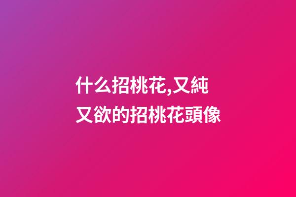 什么招桃花,又純又欲的招桃花頭像-第1張-觀點-玄機派