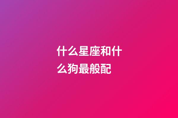 什么星座和什么狗最般配-第1張-星座運勢-玄機派