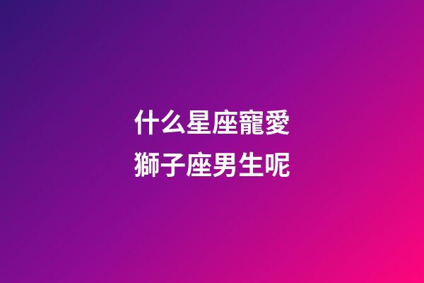 什么星座寵愛獅子座男生呢-第1張-星座運勢-玄機派