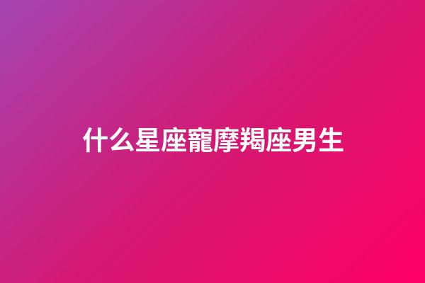 什么星座寵摩羯座男生-第1張-星座運勢-玄機派