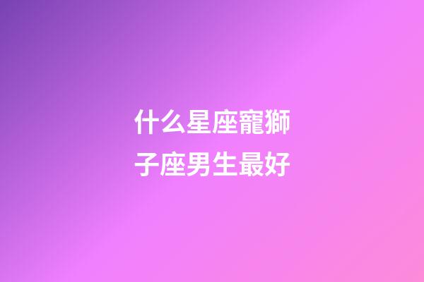 什么星座寵獅子座男生最好-第1張-星座運勢-玄機派
