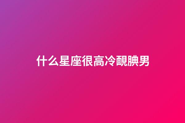 什么星座很高冷靦腆男-第1張-星座運勢-玄機派