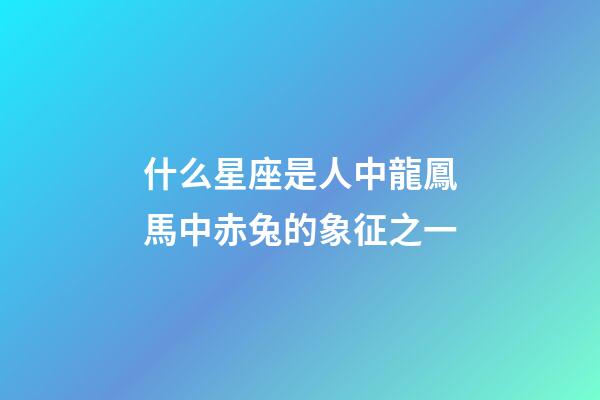 什么星座是人中龍鳳馬中赤兔的象征之一-第1張-星座運勢-玄機派