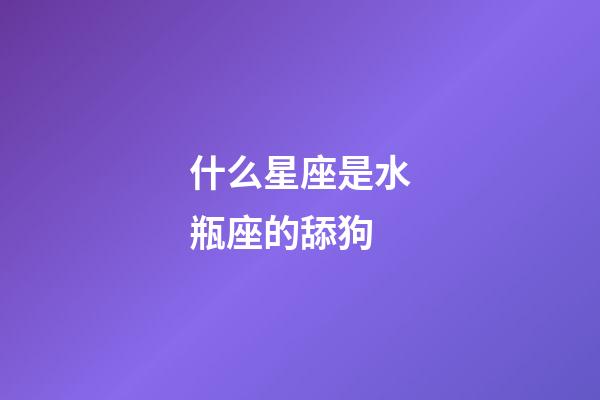 什么星座是水瓶座的舔狗-第1張-星座運(yùn)勢-玄機(jī)派