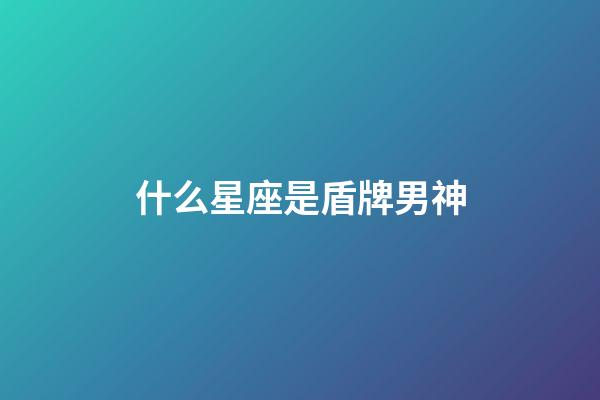 什么星座是盾牌男神